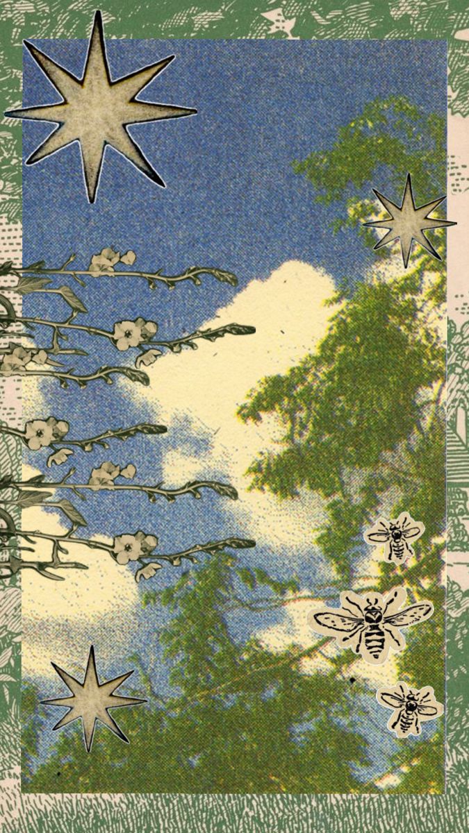 Projects background mobile